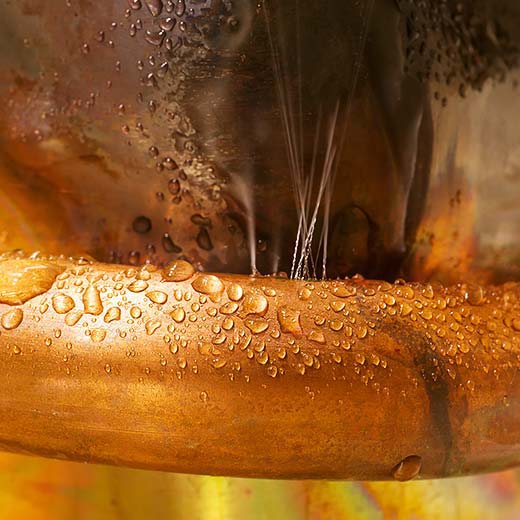 Same Day Bloomfield Plumbing Service, drains, septic, trenchless.